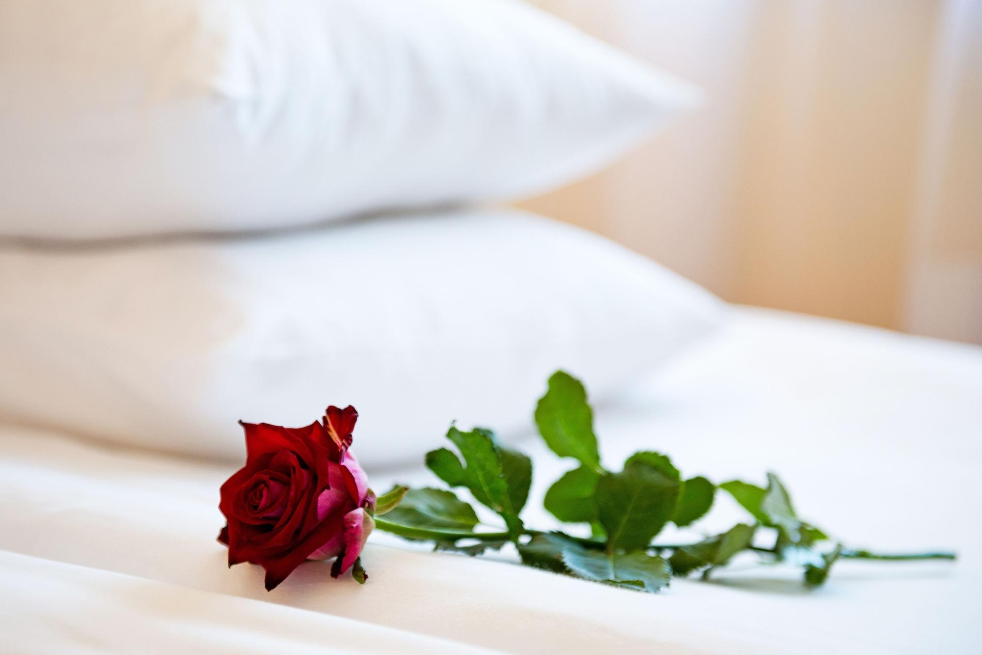 Best Baltic Hotel Паланга Екстериор снимка